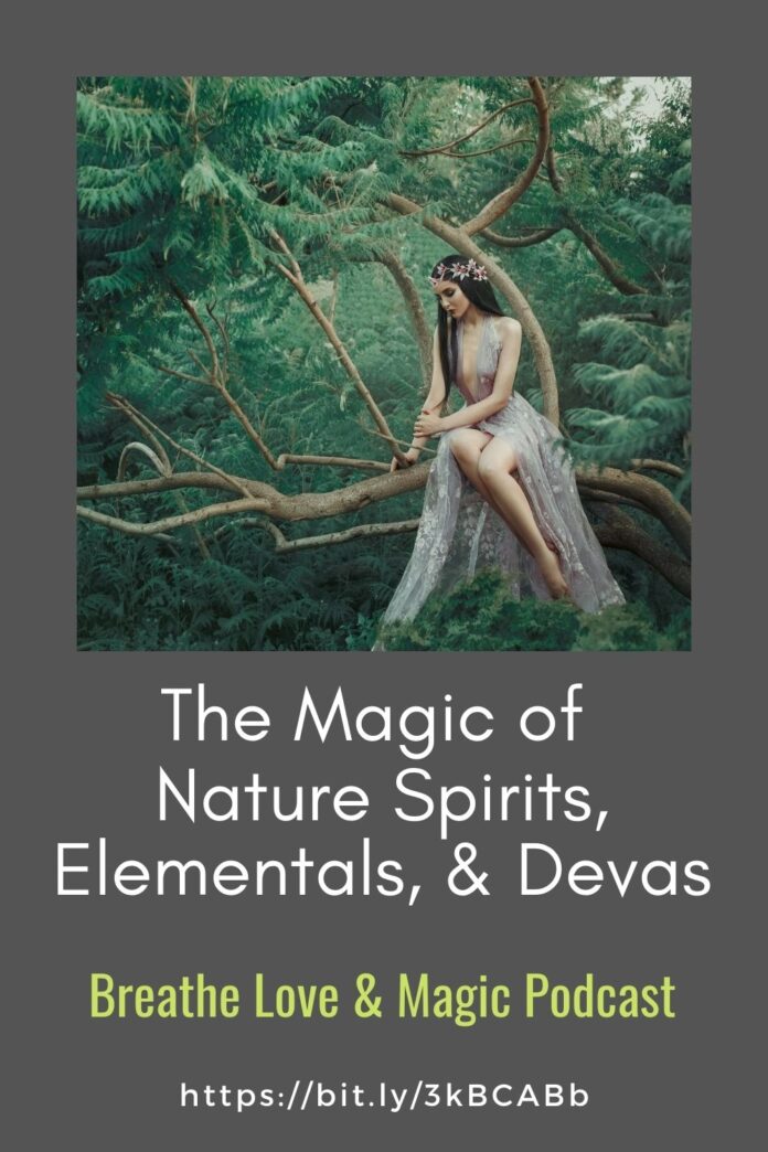 the magic of nature spirits and elemental beings