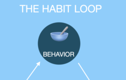 The Habit Loop: How it Can Lead to Mindless Eating