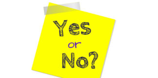 Finding Your "Yes" and Your "No" by Susie Collins