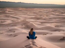 Meditation + Talk: What Do You Do When You Meditate?