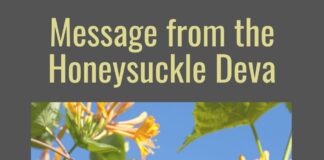 message from the honeysuckle deva