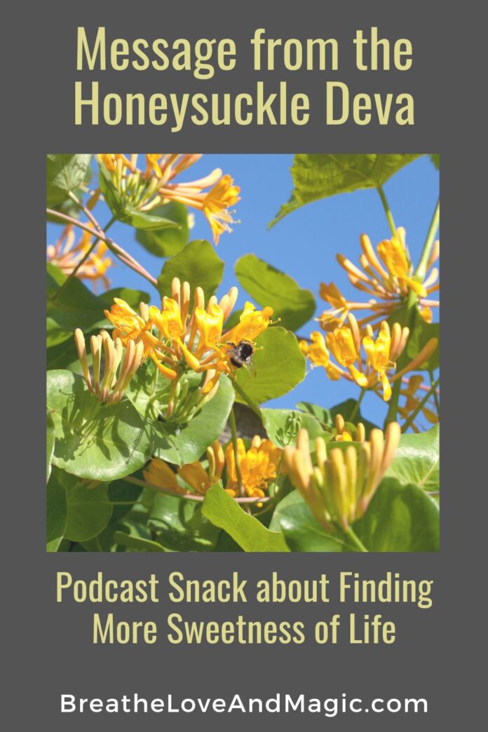 message from the honeysuckle deva