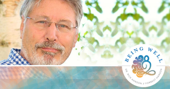 Bessel van der Kolk