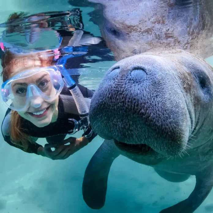 50 Date Ideas & Things to Do in Orlando
