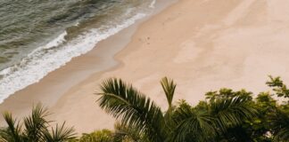 When You're Overwhelmed, Simplify - zen habits zen habits