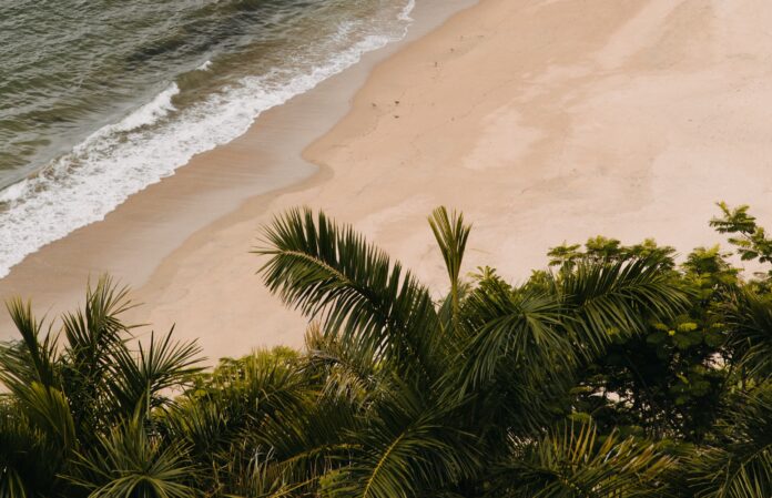 When You're Overwhelmed, Simplify - zen habits zen habits