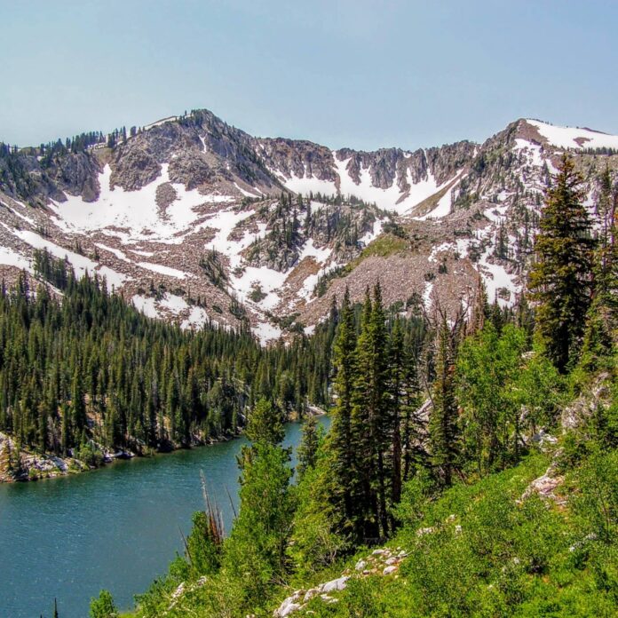 35 Unique Things to Do in Salt Lake City