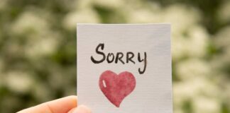 A sorry sticker with a heart is held in sorry messages for her