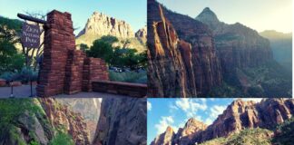 zion national park itinerary - collage of 4 brightly colored zion photos, red rocks, canyons, sign