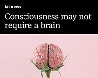 Annaka Harris | IAI Article: Consciousness May Not Require a Brain