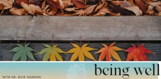 Mastering Change with Brad Stulberg