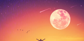 Why True Happiness Is Not Just About Reaching Your Goals
