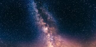 Transcendent: Take on Work & Life from Another Level