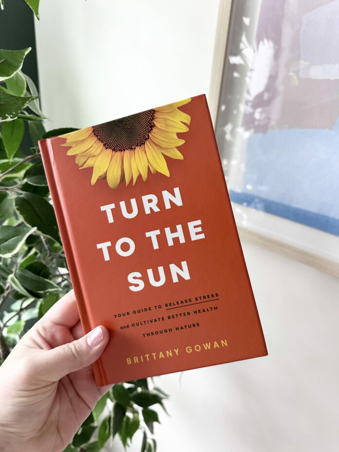 turn to the sun by brittany gowan