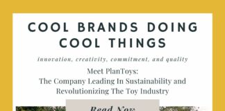 Meet PlanToys: The Company Leading In Sustainability and Revolutionizing The Toy Industry